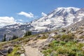 Summit of Mount Rainier as seen from the Skyline Trail Royalty Free Stock Photo