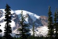 Mount Rainier Royalty Free Stock Photo