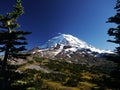 Mount Rainier and Spray Park Royalty Free Stock Photo