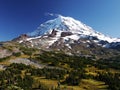 Mount Rainier and Spray Park Royalty Free Stock Photo