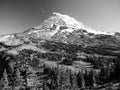 Mount Rainier and Spray Park Royalty Free Stock Photo