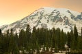 Mount Rainier summit and Paradise area at Mount Rainier National Park, USA Royalty Free Stock Photo