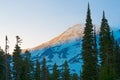 Mount Rainier summit and Paradise area at Mount Rainier National Park, USA