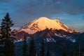 Mount Rainier at sunrise in Mount Rainier National Park, Washing Royalty Free Stock Photo