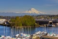 Mount Rainier from Thea Foss Waterway in Tacoma