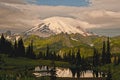 Mount Rainier and Tipsoo Lake Royalty Free Stock Photo