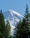 Mount Rainier vista Royalty Free Stock Photo