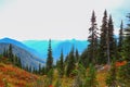 Mount Rainier, Washington Royalty Free Stock Photo