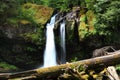 Mount Rainier water falls Royalty Free Stock Photo