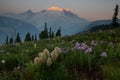 Mount Rainier with Wildflowers during Sunrise at Washington Royalty Free Stock Photo