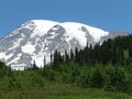 Mount Ranier in the Summer Royalty Free Stock Photo