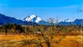 Mount Robie Reid near Mission, BC Canada Royalty Free Stock Photo