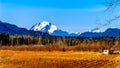 Mount Robie Reid on the left and  Mount Judge Howay on the right, viewed Sylvester Road near Mission, British Columbia, Canada Royalty Free Stock Photo