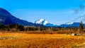 Mount Robie Reid on the left and  Mount Judge Howay on the right, viewed Sylvester Road near Mission, British Columbia, Canada Royalty Free Stock Photo