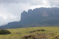 Mount Roraima, borders between Brazil, Venezuela and Guyana