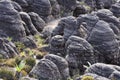 Mount Roraima landscape Royalty Free Stock Photo