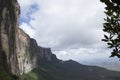 Mount Roraima lateral side in La Gran Sabana with cloudy sky