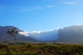 Mount Roraima - Venezuela Royalty Free Stock Photo