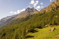 Panoramic view of a forest in the valley of Gressoney near Monte Rosa Royalty Free Stock Photo