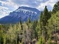 Mount Rundle in  Banff Alberta Royalty Free Stock Photo