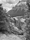 Mount Rundle Banff Albertas, Black and White