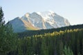 Mount Rundle in Banff National Park