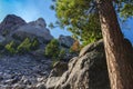 Mount Rushmore National Memorial, South Dakota Royalty Free Stock Photo