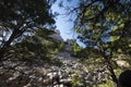 Mount Rushmore National Memorial, South Dakota Royalty Free Stock Photo