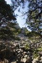 Mount Rushmore National Memorial, South Dakota Royalty Free Stock Photo