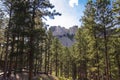 Mount Rushmore National Memorial, South Dakota Royalty Free Stock Photo