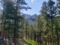 Mount Rushmore National Memorial, South Dakota Royalty Free Stock Photo