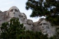 Mount Rushmore Surrounded by Trees