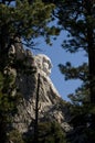 Mount Rushmore through the trees Royalty Free Stock Photo