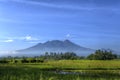 Mountain and Ricefields in the Morning Royalty Free Stock Photo