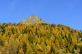 Mount Sarezza (Ayas Valley, North Italy)