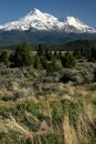 Mount Shasta Royalty Free Stock Photo