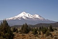 Mount Shasta Royalty Free Stock Photo