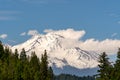 Mount Shasta, California Royalty Free Stock Photo