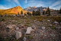 Mount Shasta Morning Views, Panther Meadow, Mt. Shasta California