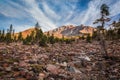 Mount Shasta Morning Views, Panther Meadow, Mt. Shasta California