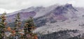 Mount Shasta and pine trees from Grey Butte Trail, Siskiyou County, California, USA Royalty Free Stock Photo