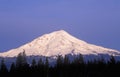 Mount Shasta at Sunrise Royalty Free Stock Photo