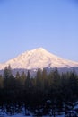 Mount Shasta at Sunrise Royalty Free Stock Photo