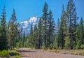 Mount Shasta Royalty Free Stock Photo