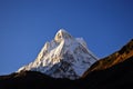 mount shivling in the morning light Royalty Free Stock Photo