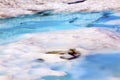 Mount Shuksan Blue Snow Pool Abstract Artist Point Washington