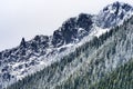 Mount Si Snow Evergreen North Bend Washington Royalty Free Stock Photo