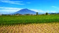 Mount Singgalang behind a stretch of rice fields under a blue sky Royalty Free Stock Photo