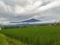 Mount slamet central java Royalty Free Stock Photo