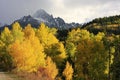 Mount Sneffels Range, Colorado Royalty Free Stock Photo